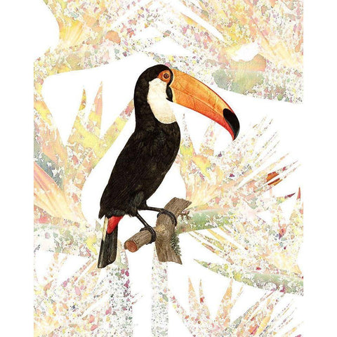 Toucan Gold Ornate Wood Framed Art Print with Double Matting by Kimberly, Allen