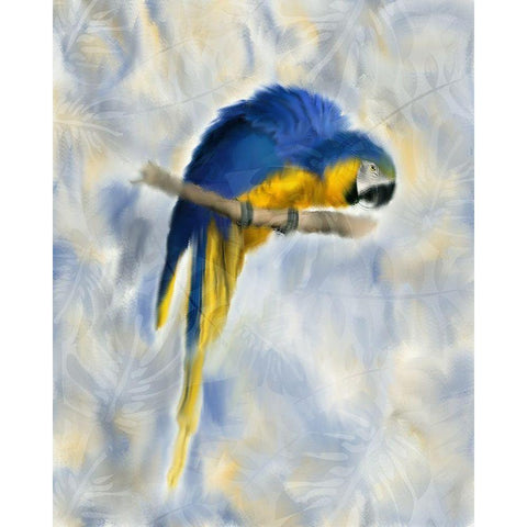 Parrot 1 White Modern Wood Framed Art Print by Kimberly, Allen