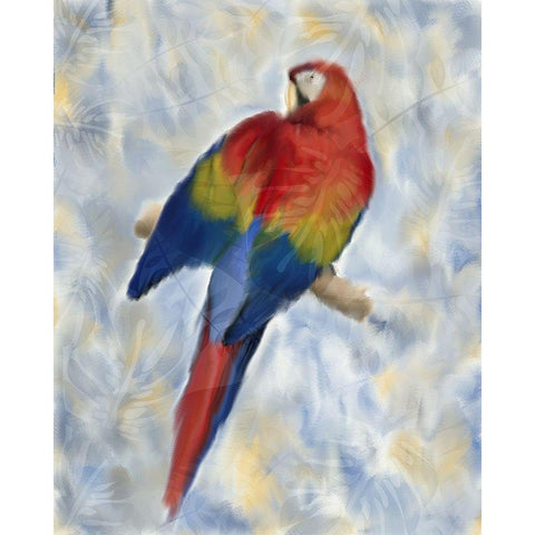 Parrot 2 Gold Ornate Wood Framed Art Print with Double Matting by Kimberly, Allen