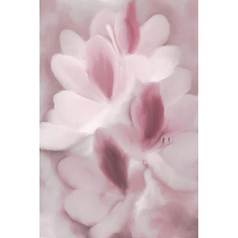 Blush Orchid White Modern Wood Framed Art Print by Kimberly, Allen