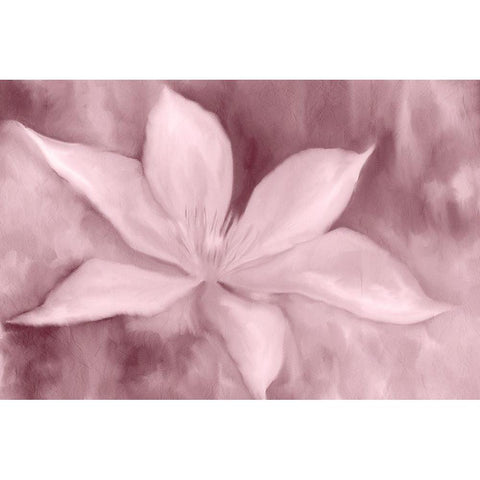 Blush Petals White Modern Wood Framed Art Print by Kimberly, Allen