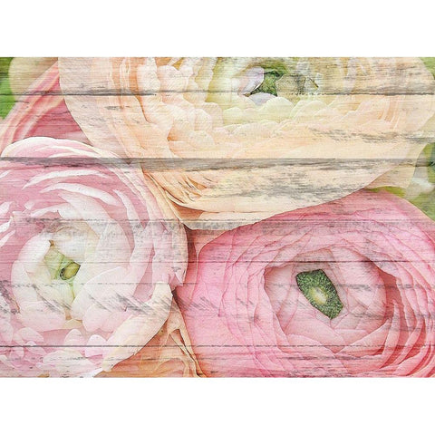 Pastel Three White Modern Wood Framed Art Print by Kimberly, Allen