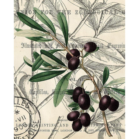Olive Love 2 Black Modern Wood Framed Art Print with Double Matting by Kimberly, Allen