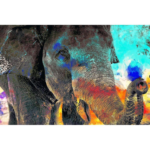 True Colors Black Modern Wood Framed Art Print with Double Matting by Kimberly, Allen