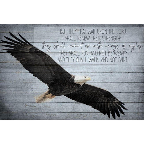 Wings as Eagles Black Modern Wood Framed Art Print with Double Matting by Kimberly, Allen