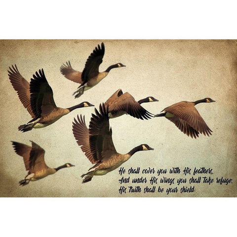 His Wings Black Modern Wood Framed Art Print with Double Matting by Kimberly, Allen