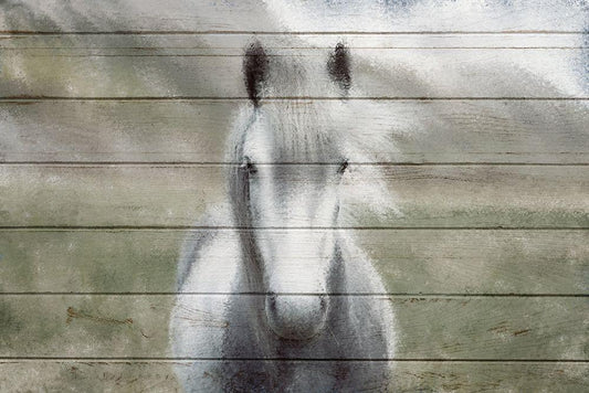 Image Only