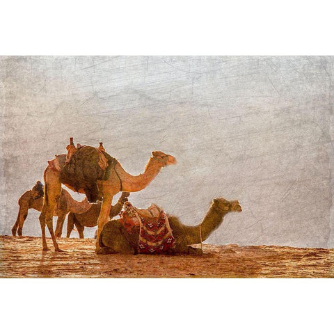 In the Desert Gold Ornate Wood Framed Art Print with Double Matting by Kimberly, Allen