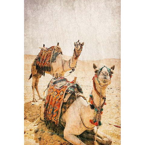 At rest White Modern Wood Framed Art Print by Kimberly, Allen