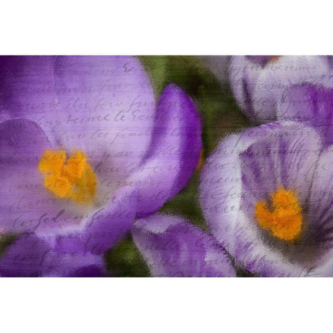 Purple Days Black Modern Wood Framed Art Print with Double Matting by Kimberly, Allen