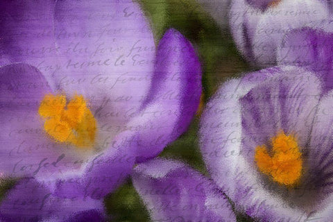Purple Days White Modern Wood Framed Art Print with Double Matting by Kimberly, Allen