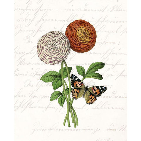 Dahlia 2 Gold Ornate Wood Framed Art Print with Double Matting by Kimberly, Allen
