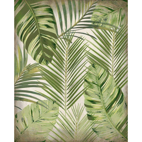 Tropic Palms 1 Black Modern Wood Framed Art Print with Double Matting by Kimberly, Allen