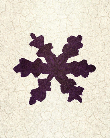 Christmas Luxe 11 Black Ornate Wood Framed Art Print with Double Matting by Kimberly, Allen