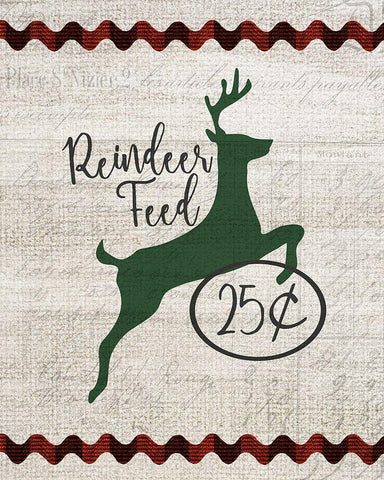 Farmhouse Christmas 13 White Modern Wood Framed Art Print with Double Matting by Kimberly, Allen