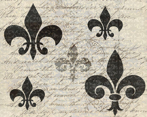 Fleur Writtings Black Ornate Wood Framed Art Print with Double Matting by Kimberly, Allen