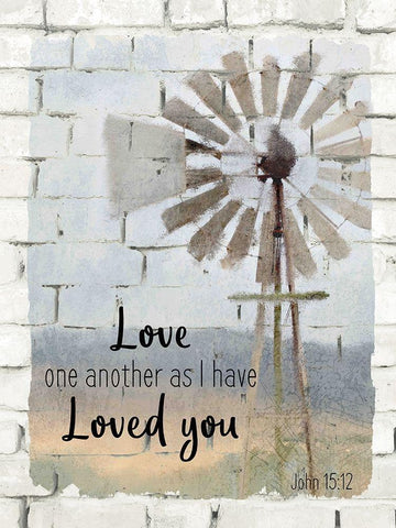 Farm Life 6 White Modern Wood Framed Art Print with Double Matting by Kimberly, Allen