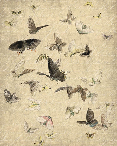 Butterflies in Flight 1 White Modern Wood Framed Art Print with Double Matting by Kimberly, Allen