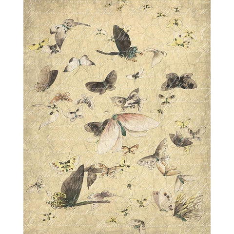 Butterflies in Flight 2 Black Modern Wood Framed Art Print with Double Matting by Kimberly, Allen