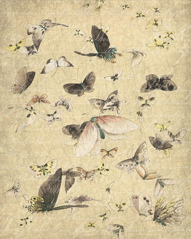 Butterflies in Flight 2 Black Ornate Wood Framed Art Print with Double Matting by Kimberly, Allen