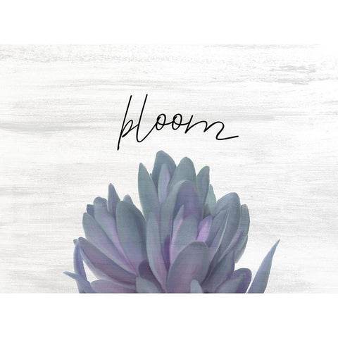 Bloom Black Modern Wood Framed Art Print with Double Matting by Kimberly, Allen