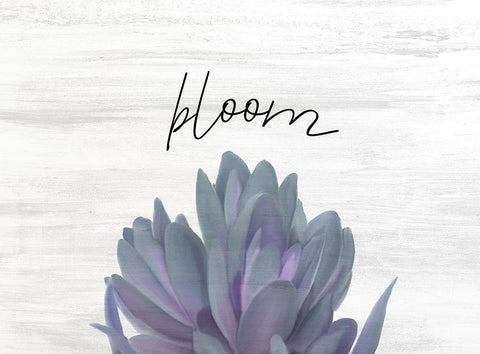 Bloom White Modern Wood Framed Art Print with Double Matting by Kimberly, Allen