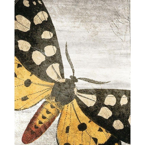 Vintage Butterfly 1 Black Modern Wood Framed Art Print with Double Matting by Kimberly, Allen