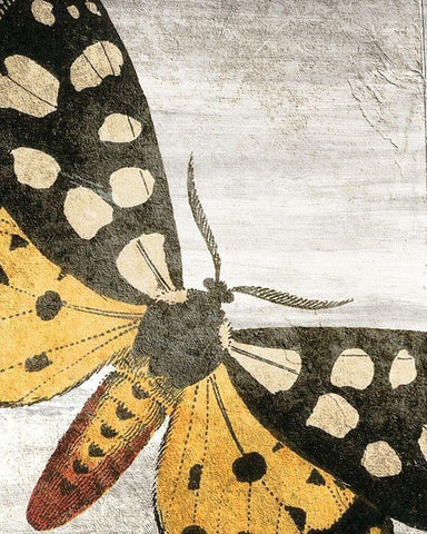 Vintage Butterfly 1 White Modern Wood Framed Art Print with Double Matting by Kimberly, Allen