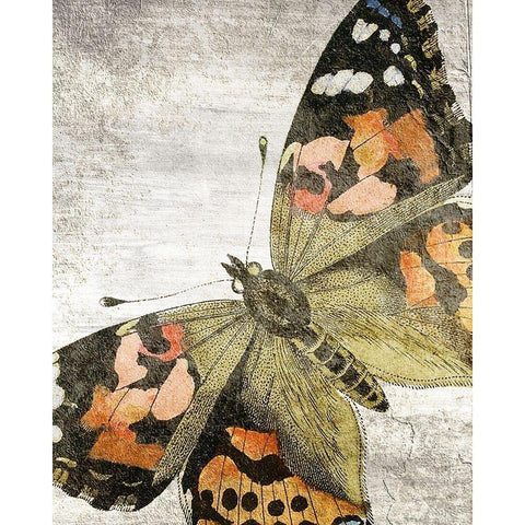 Vintage Butterfly 2 Gold Ornate Wood Framed Art Print with Double Matting by Kimberly, Allen