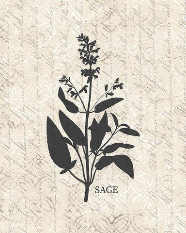 Fresh Sage Black Ornate Wood Framed Art Print with Double Matting by Kimberly, Allen