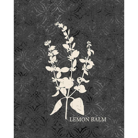 Fresh Lemon Balm Black Modern Wood Framed Art Print with Double Matting by Kimberly, Allen