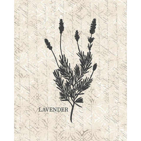 Fresh Lavender Black Modern Wood Framed Art Print with Double Matting by Kimberly, Allen