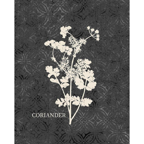 Fresh Coriander Black Modern Wood Framed Art Print with Double Matting by Kimberly, Allen