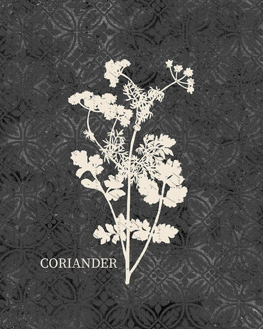 Fresh Coriander Black Ornate Wood Framed Art Print with Double Matting by Kimberly, Allen