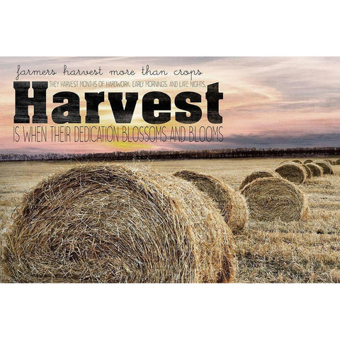 Farmers Harvest White Modern Wood Framed Art Print by Kimberly, Allen