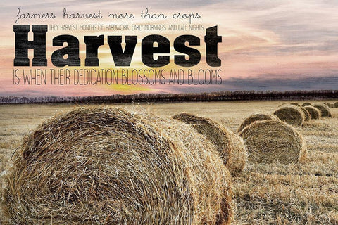Farmers Harvest White Modern Wood Framed Art Print with Double Matting by Kimberly, Allen