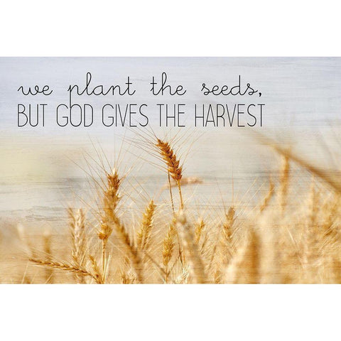 The Harvest Black Modern Wood Framed Art Print by Kimberly, Allen