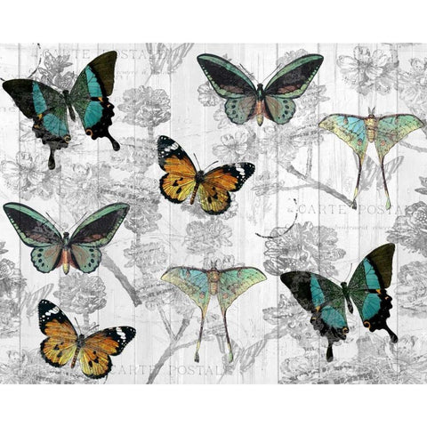 Butterfly Dreams Black Modern Wood Framed Art Print with Double Matting by Allen, Kimberly