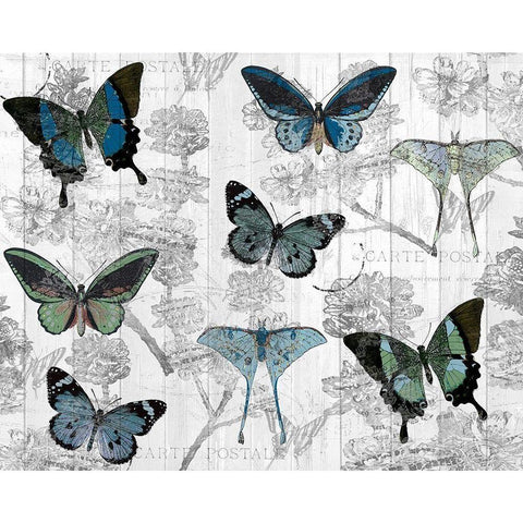 Butterfly Dreaming Black Modern Wood Framed Art Print with Double Matting by Kimberly, Allen