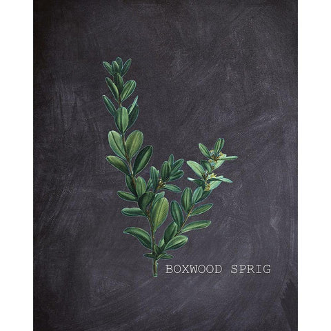 Blackboard Botanical 1 Gold Ornate Wood Framed Art Print with Double Matting by Kimberly, Allen