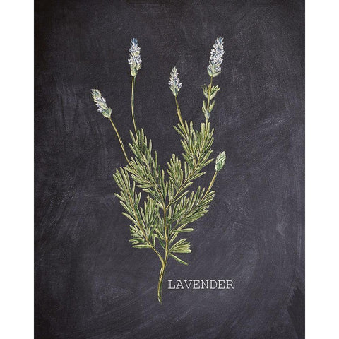 Blackboard Herbs 1 White Modern Wood Framed Art Print by Kimberly, Allen