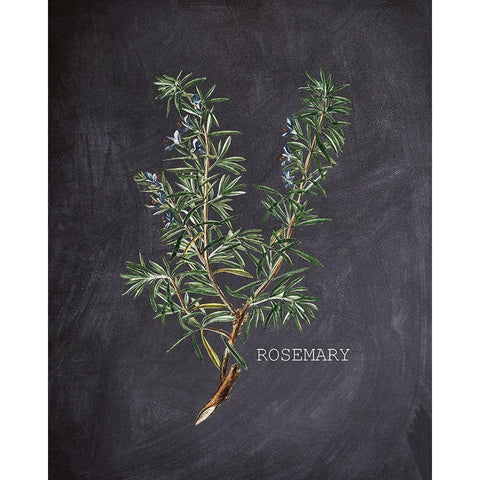 Blackboard Herbs 2 Black Modern Wood Framed Art Print with Double Matting by Kimberly, Allen