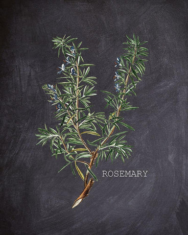 Blackboard Herbs 2 Black Ornate Wood Framed Art Print with Double Matting by Kimberly, Allen