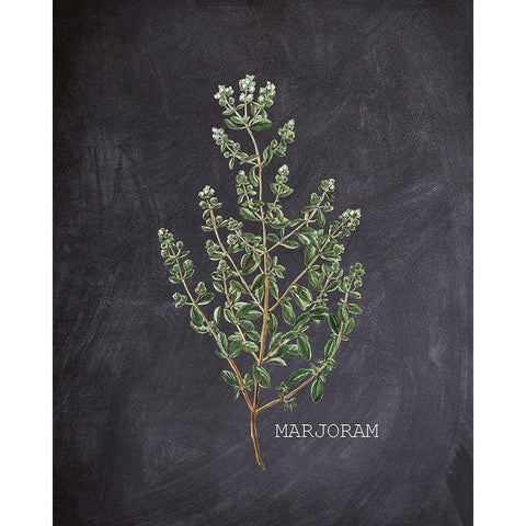 Blackboard Herbs 3 White Modern Wood Framed Art Print by Kimberly, Allen