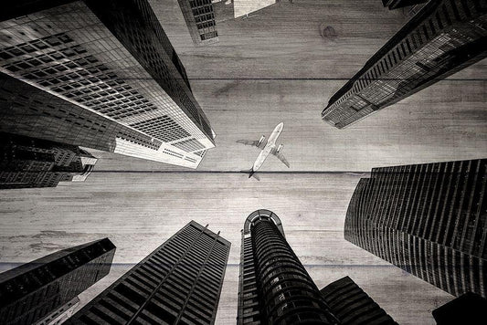 Image Only