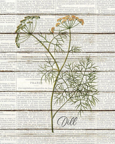 Dill Black Ornate Wood Framed Art Print with Double Matting by Kimberly, Allen