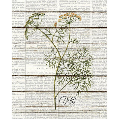 Dill Black Modern Wood Framed Art Print by Kimberly, Allen