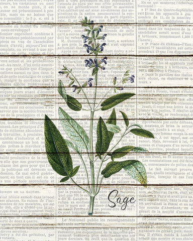 Sage Black Ornate Wood Framed Art Print with Double Matting by Kimberly, Allen