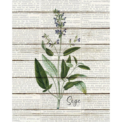 Sage Gold Ornate Wood Framed Art Print with Double Matting by Kimberly, Allen