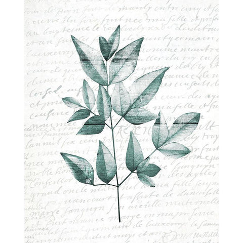 Pressed Leaves 1 White Modern Wood Framed Art Print by Kimberly, Allen